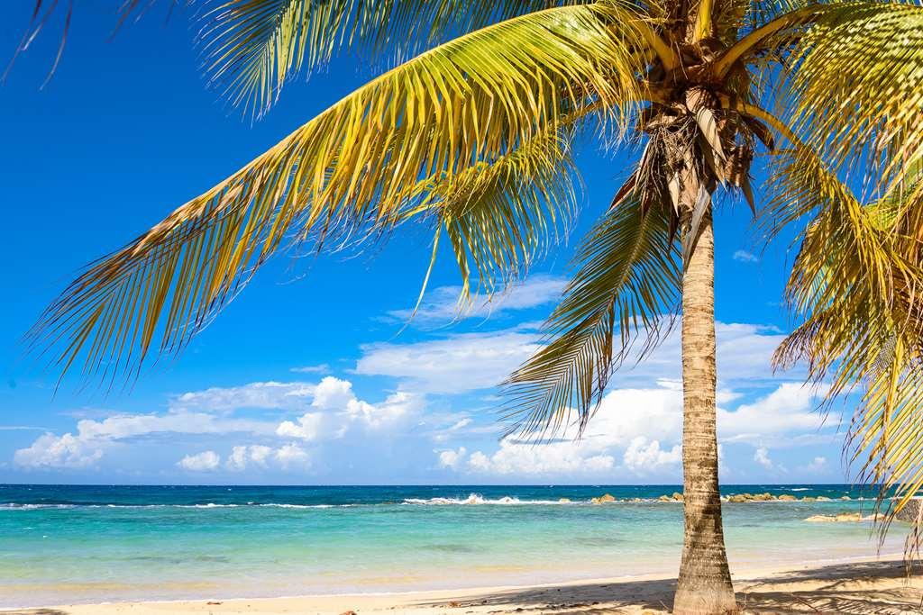 Melia Braco Village Trelawny Natura zdjęcie